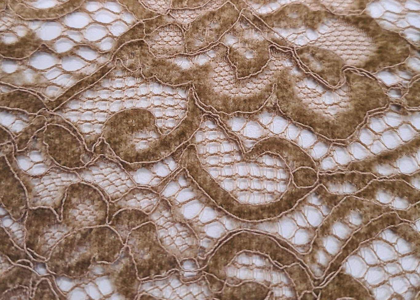 Blonde Velour Beige